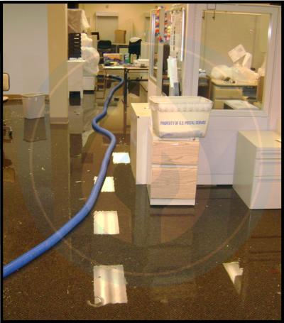 Water damage repair services denver